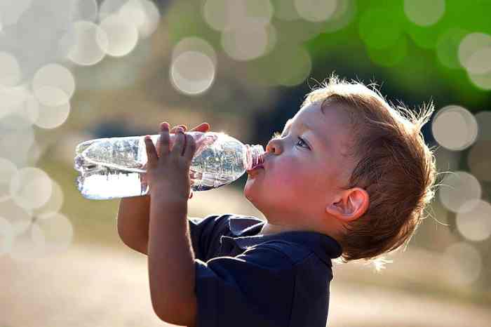Cara Agar Kambing Rajin Minum Air, Penting untuk Kesehatan!