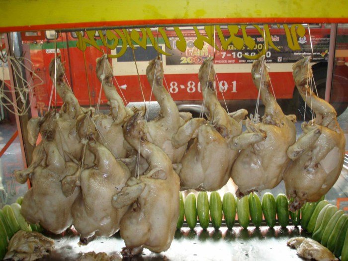 Merawat Ayam Bangkok Malam Hari, Panduan Komprehensif