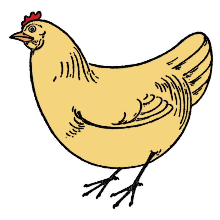 Cara Menggambar Ayam Anak SD, Langkah Mudah dan Menyenangkan