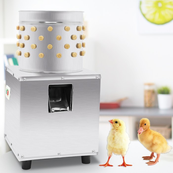 Cara Membuat Mesin Pencabut Bulu Ayam Sederhana untuk Bisnis Peternakan